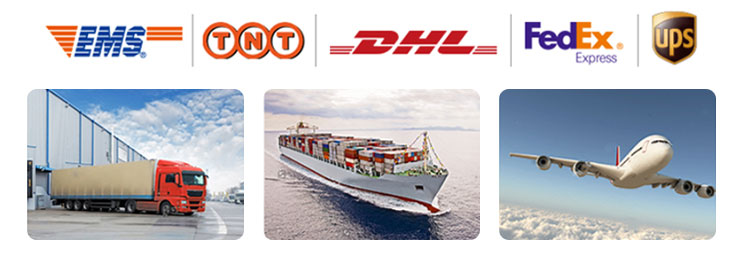 Qc11k-6x2500 Metal Guillotine Shear Guillotine Shearing Machine Qc11k-6x2500 Metal Guillotine Shear Guillotine Shearing Machine